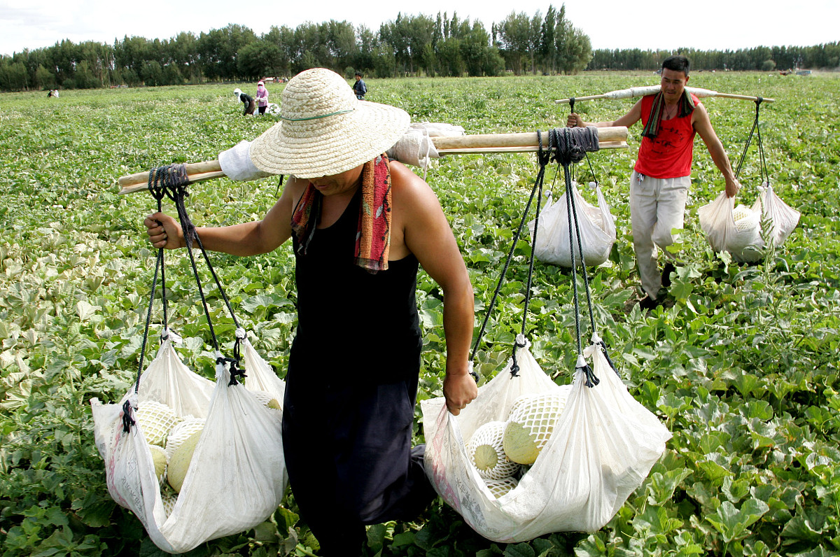 甘肃农垦中等专业学校怎么样？办学层次及教学质量深度解析