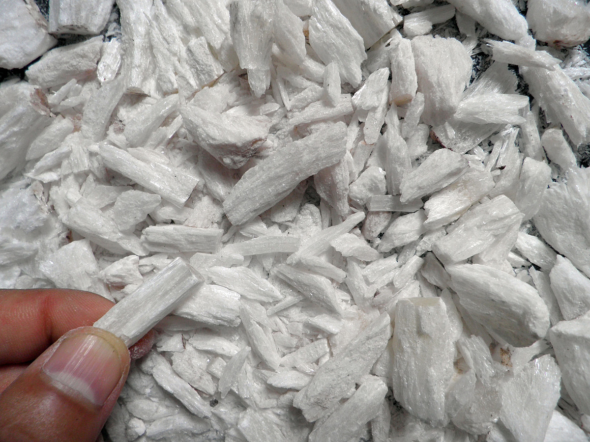 山西农业大学中药资源开发与利用：助力产业发展