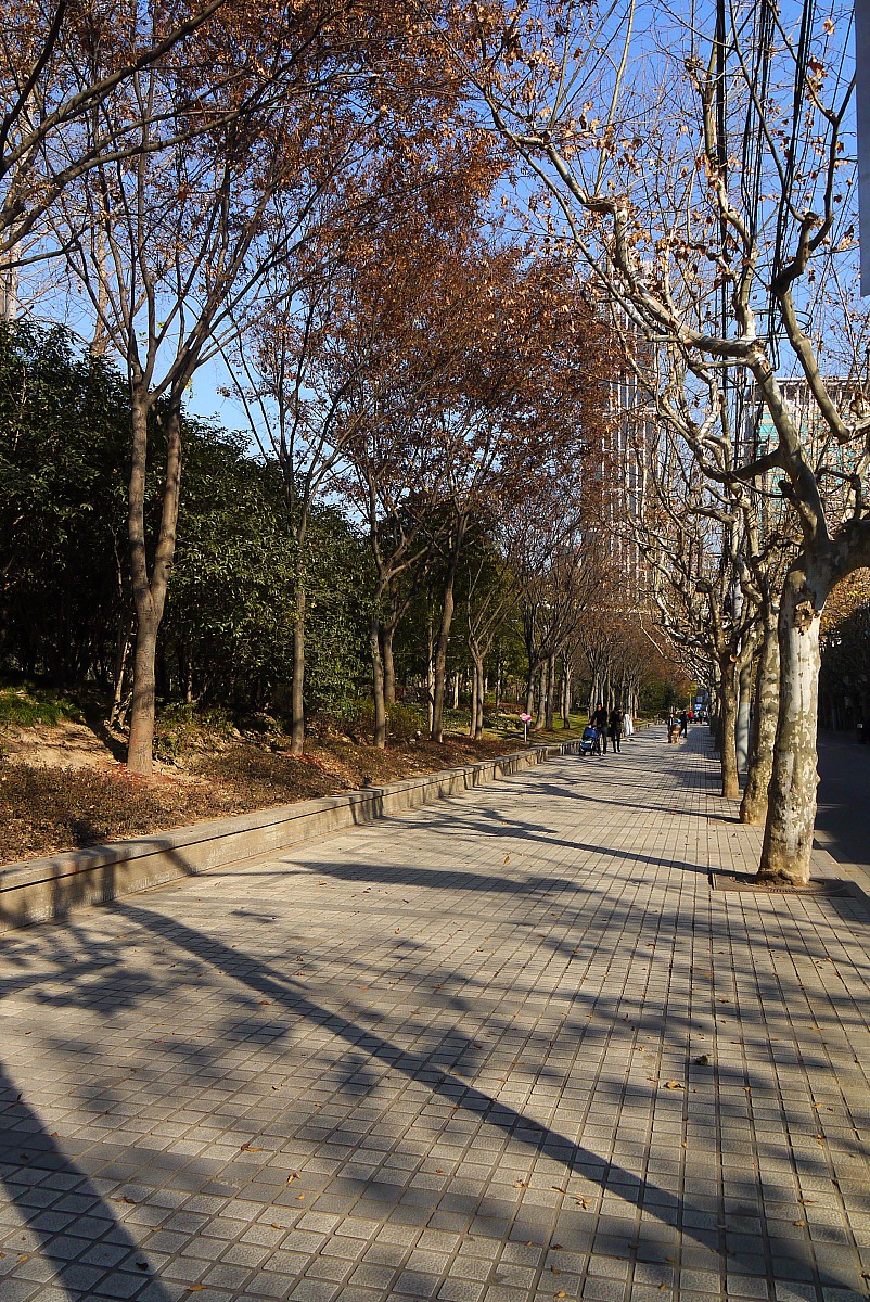 酯基红外光谱特征峰分析：1750-1735 cm^-1 羰基伸缩振动