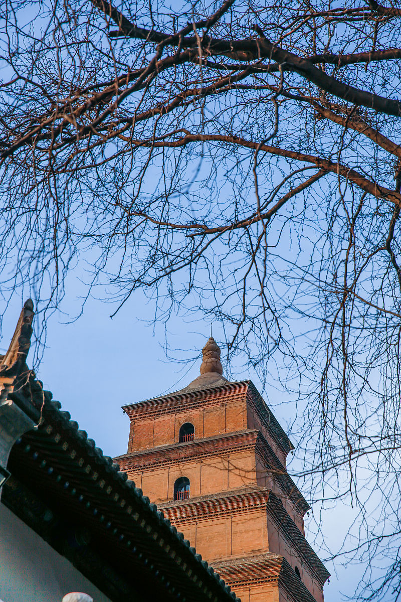 10句经典谚语，蕴含人生哲理！