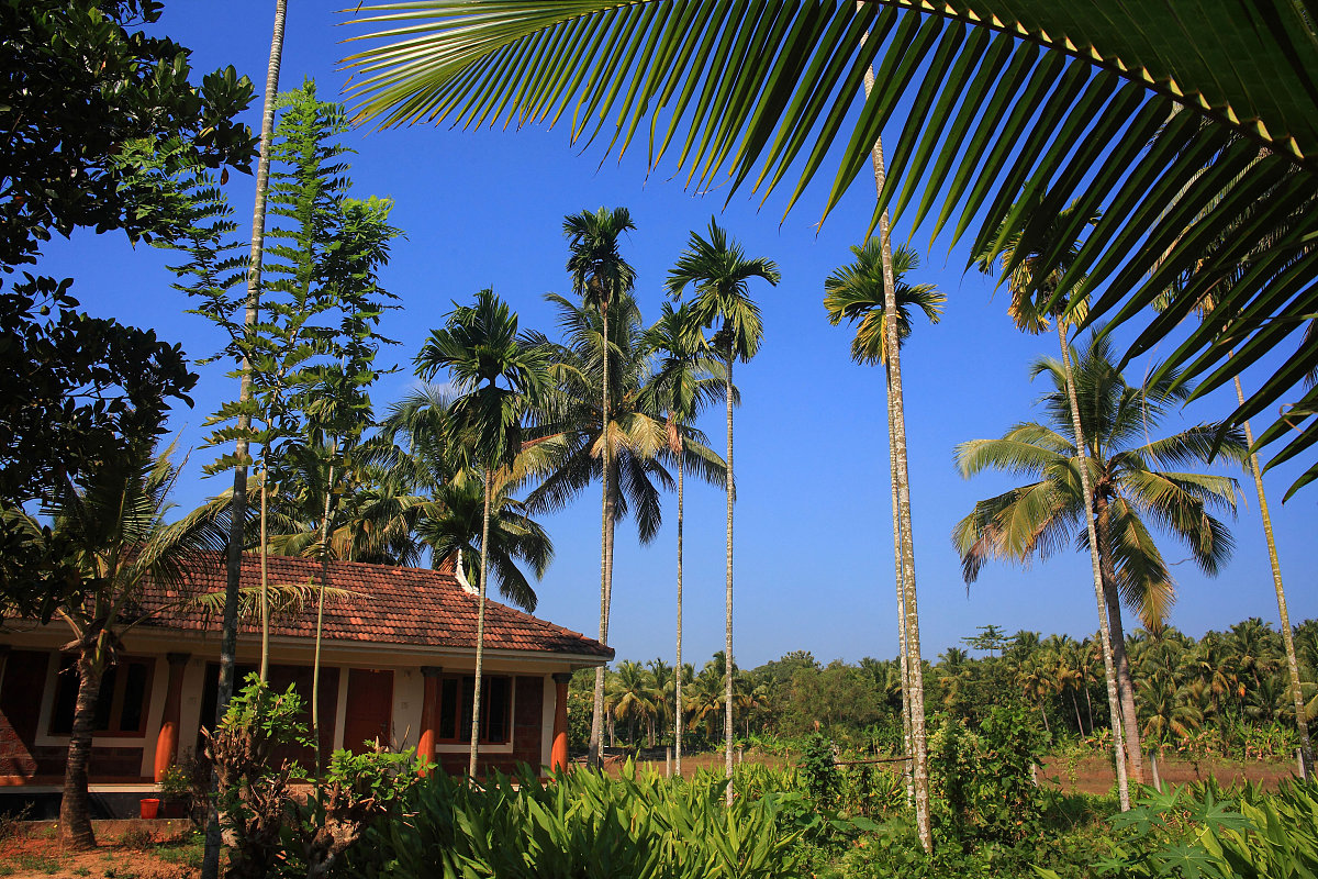 唐山2023年卫校要读几年怎么样