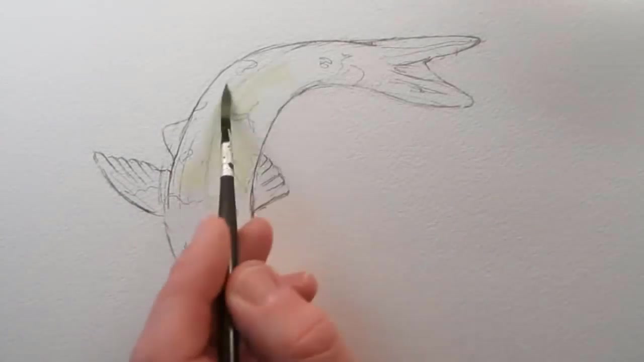 看看大师如何画一条鱼,原来这么简单!不会的要看清楚了!