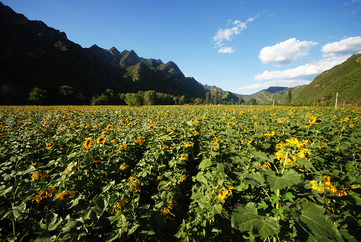 绵阳农业学校2019招生简章 | 培养实用型人才，服务农村振兴