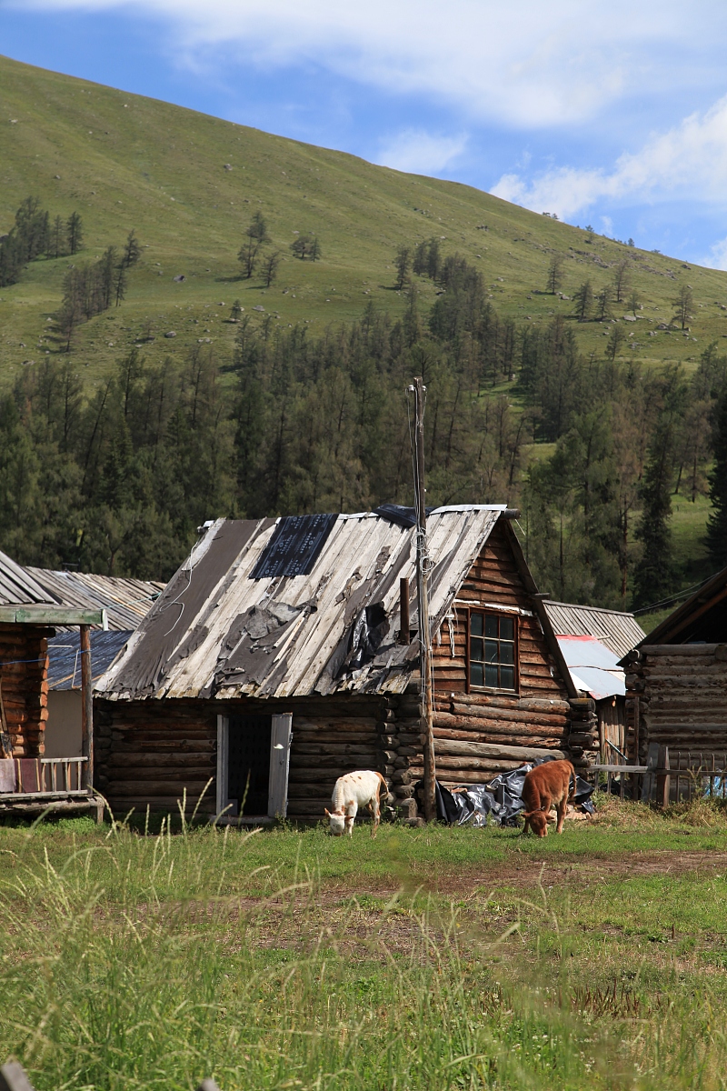 风对屋面积雪的漂移作用及其对雪荷载的影响