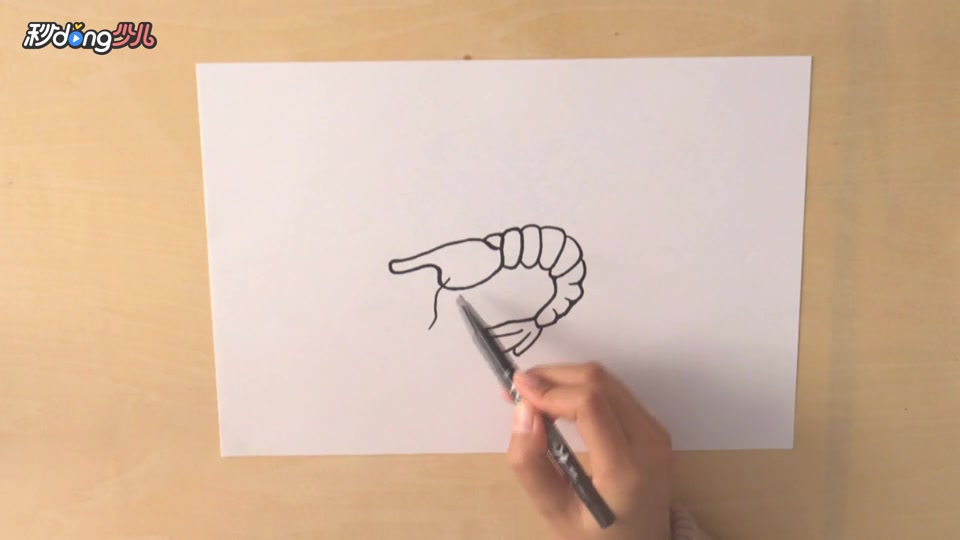 「手工」简笔画萝虾米 简单学会