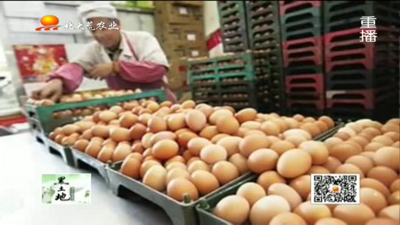 “人造鸡蛋”完全替代鸡蛋的作用 价格更便宜保质期更长