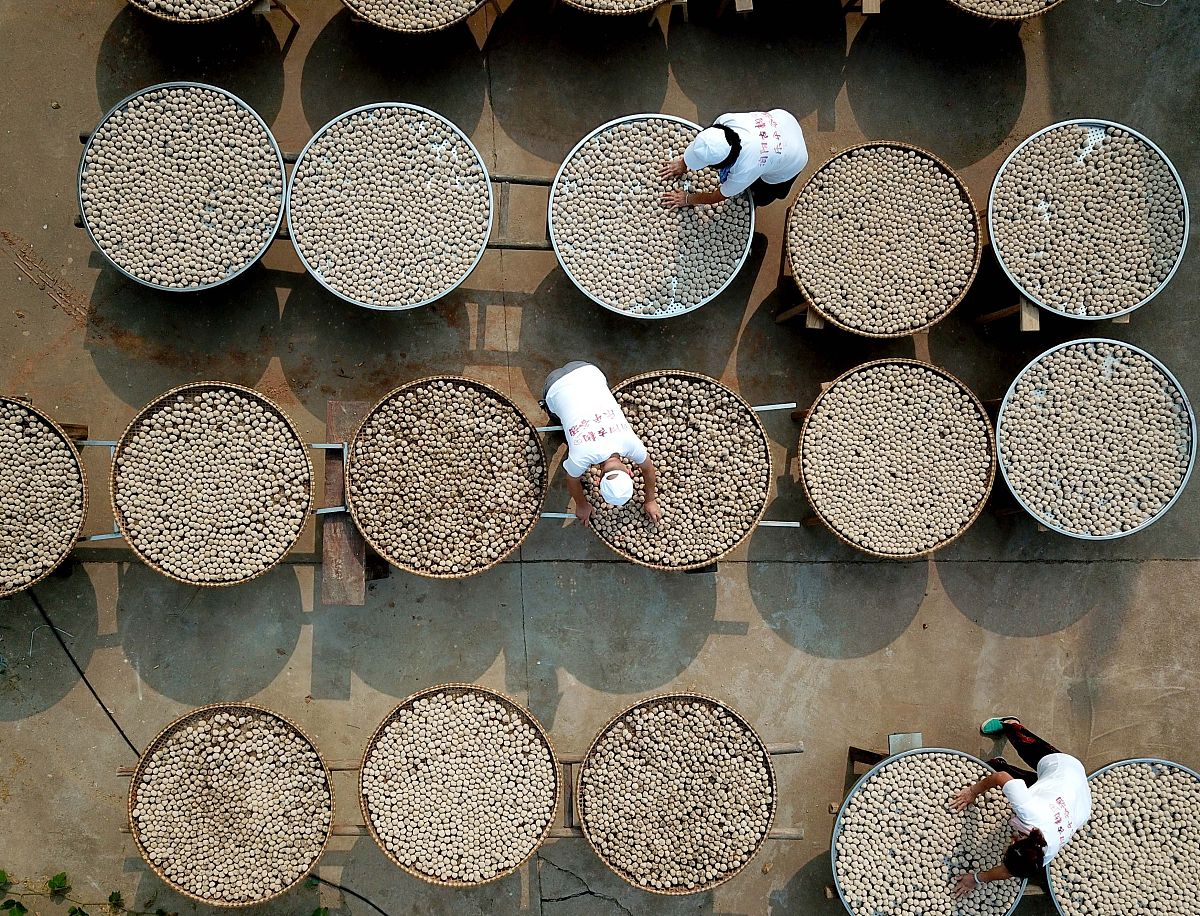 通过剧本娱乐将遗产活化的研究目的