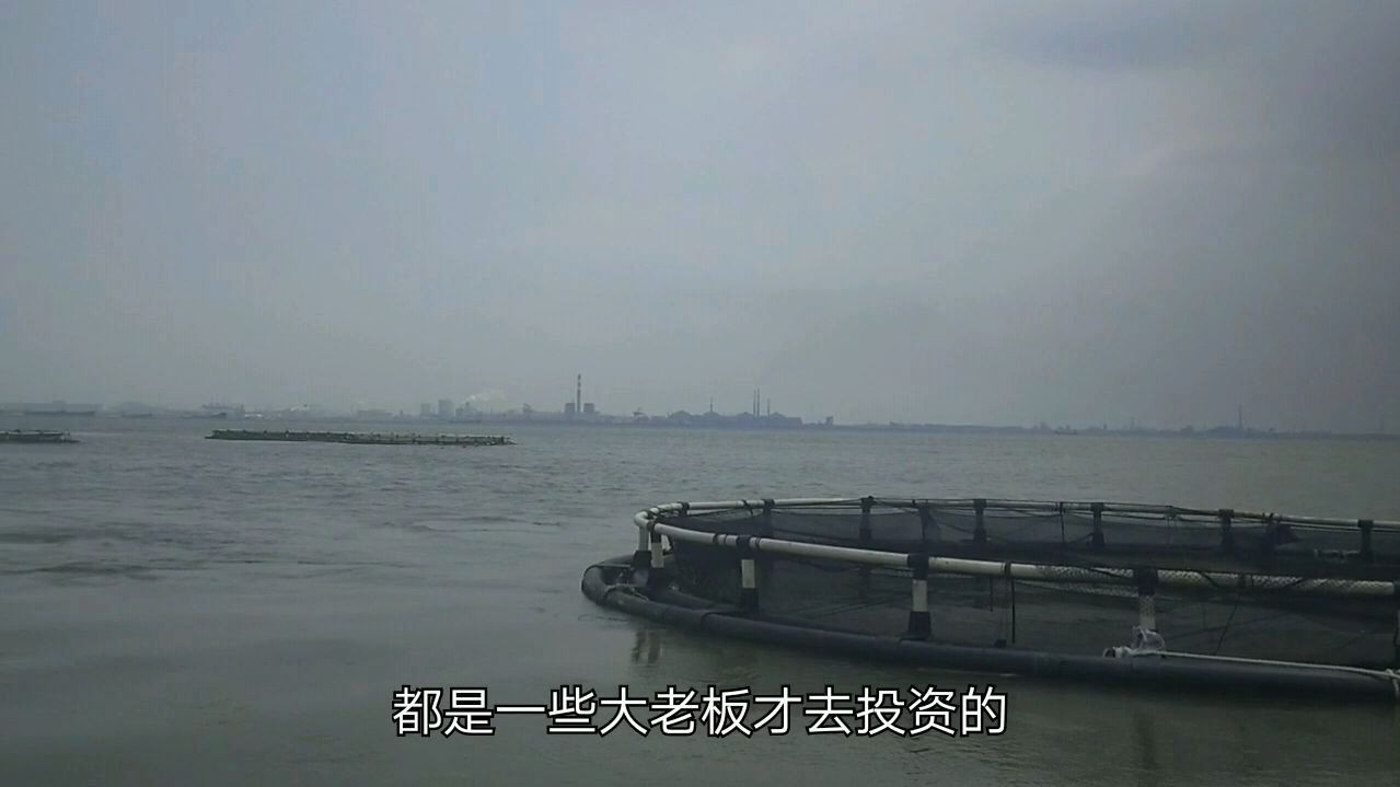 渔民上百深水箱养殖海鱼年入上千万 是怎么做到的 一起看下