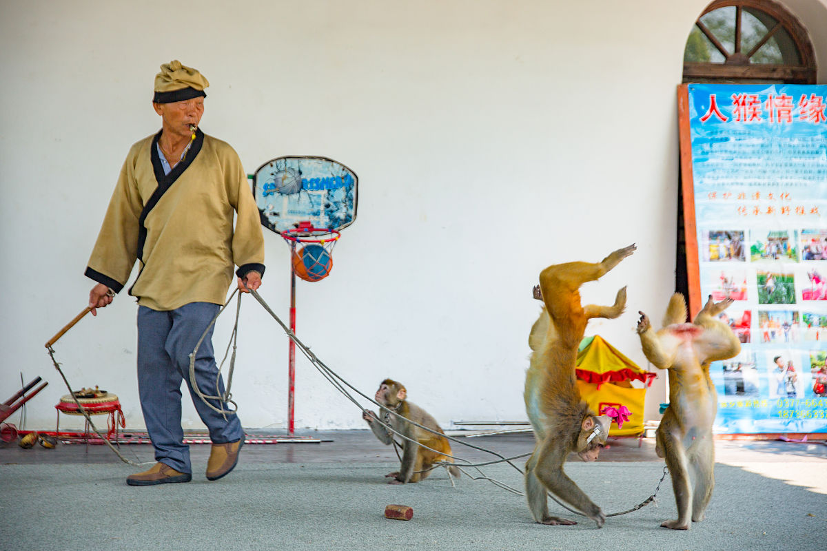 开封现在为什么那么穷，