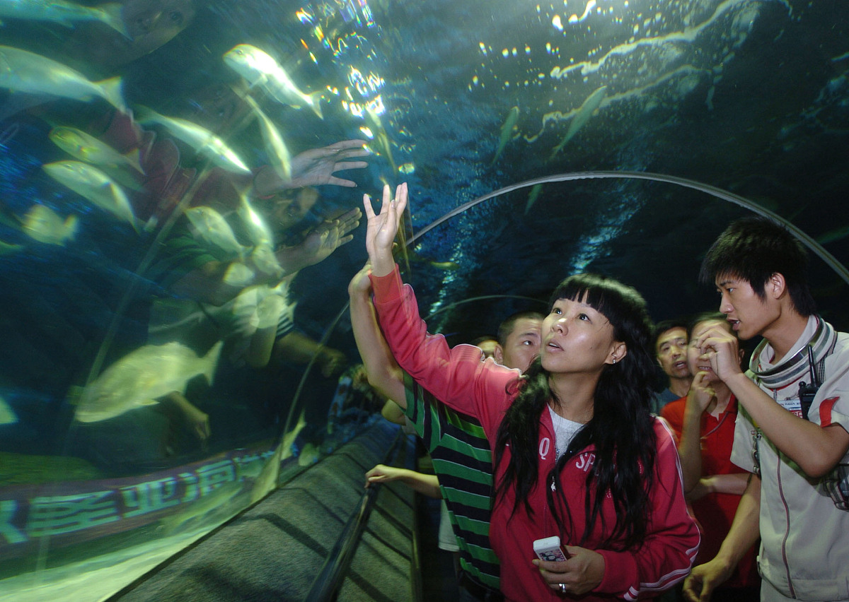 大连海洋学校2022年咨询网站多少？