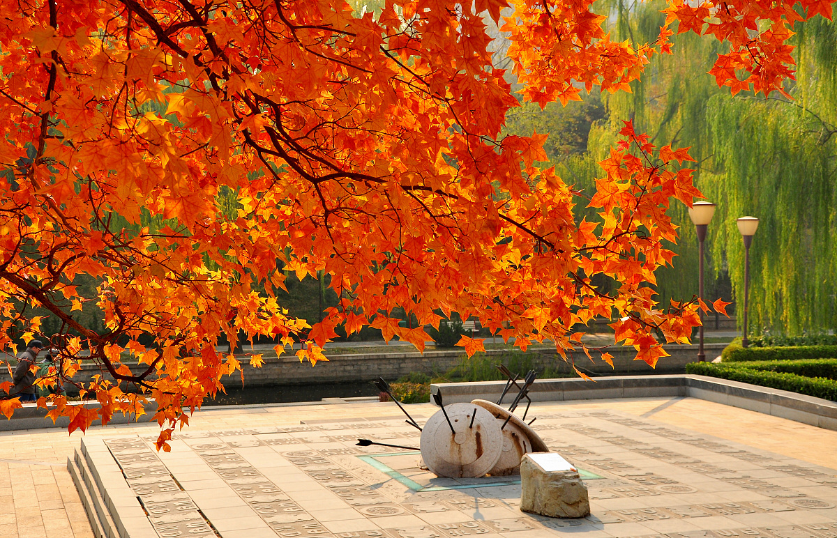元朝是中国历史上一个重要的王朝，它在文化上也有着很大的成就。那么，元朝文化对中国历史的影响是什么？它对中国文化发展有着怎样的贡献？