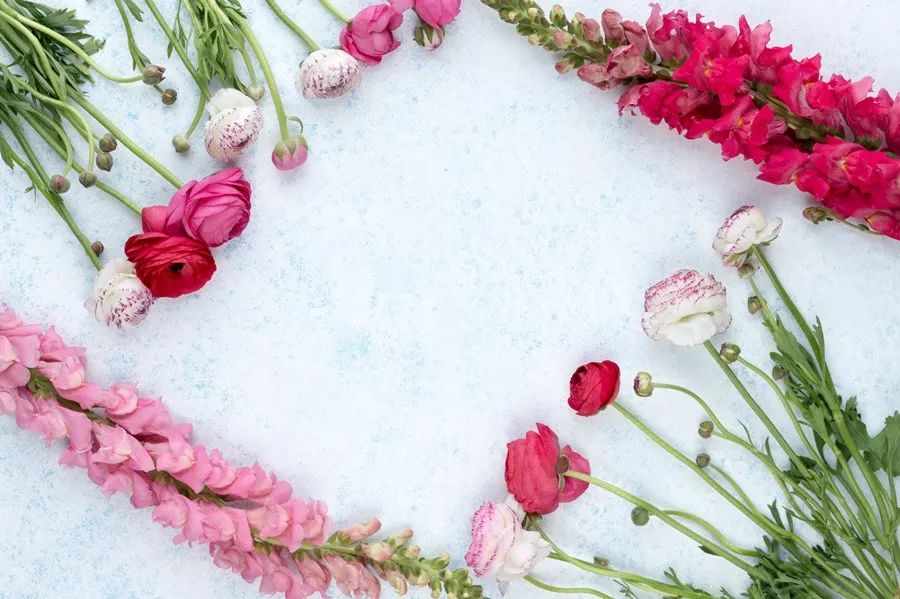 8K激光AI可卷曲,CES2019彩电业上演百花齐放!-家电圈官网