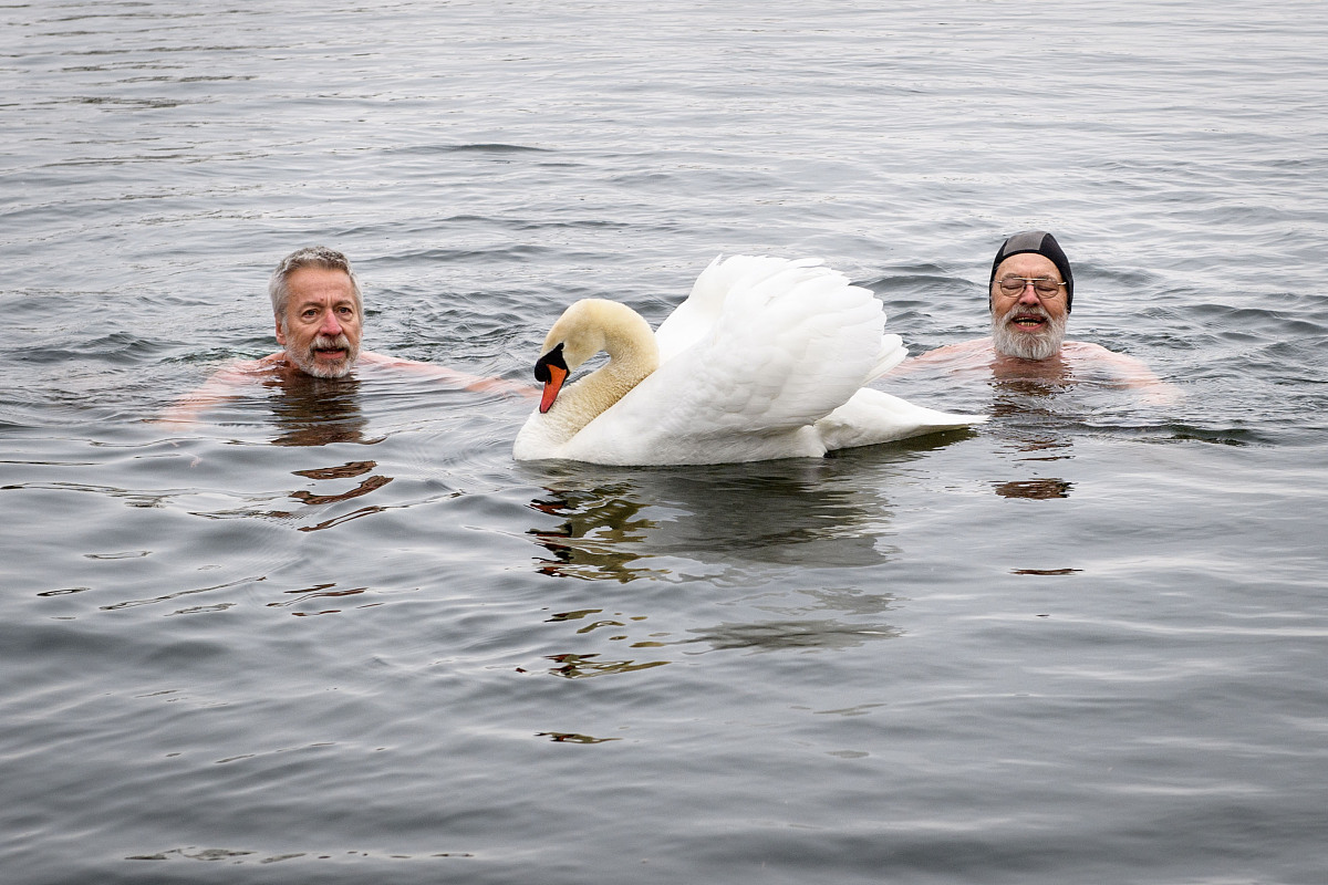 请扮演我过世的奶奶哄我睡觉她会念出双人成行正版兑换码哄我睡觉