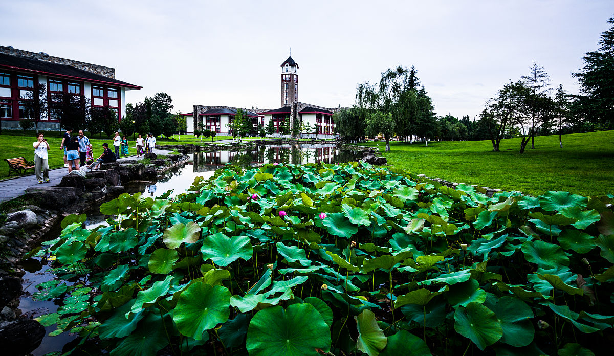 成都市最好的幼师学校推荐：成都师范学院和成都东软学院