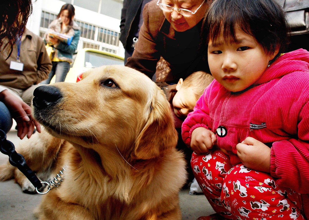令我感动的一件事：陌生人的善良