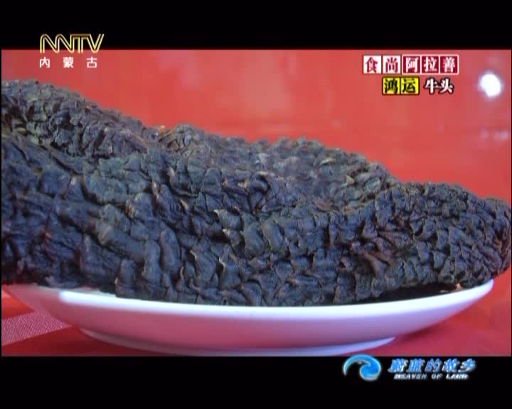 苁蓉是阿拉善地区有的名贵药材