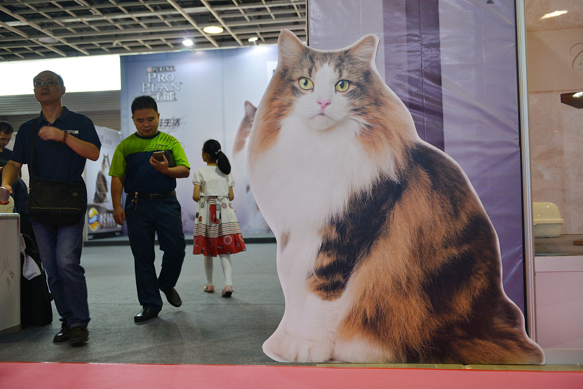 人们从什么时候开始喜欢饲养宠物