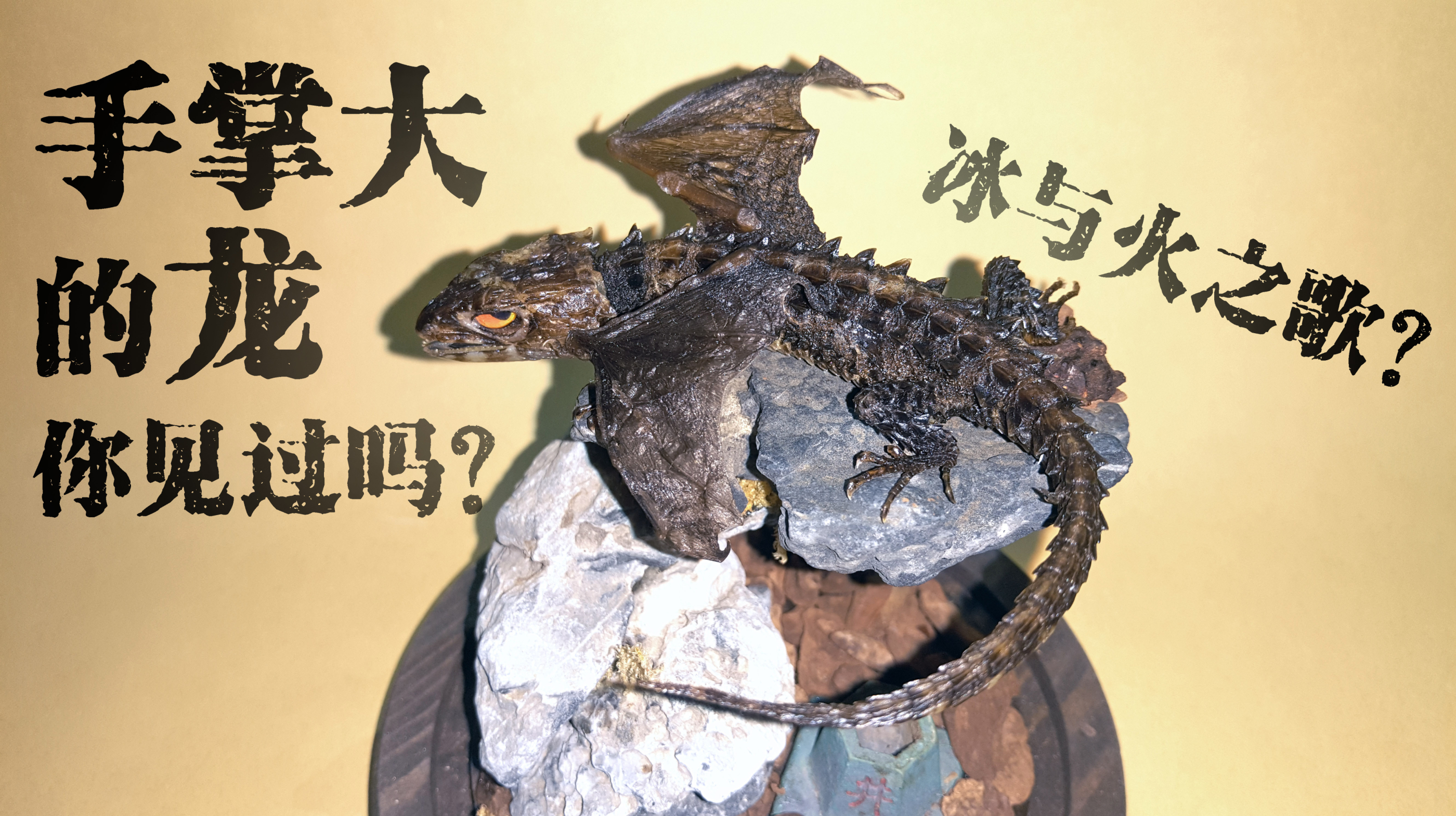 硬核女标本师让她的蜥蜴长出了翅膀,那不就是龙吗!