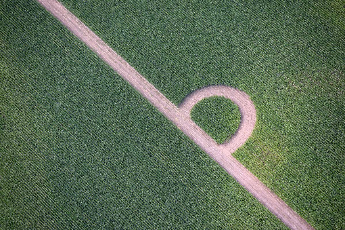an aerial view of a maize field with a circle in it in northern 