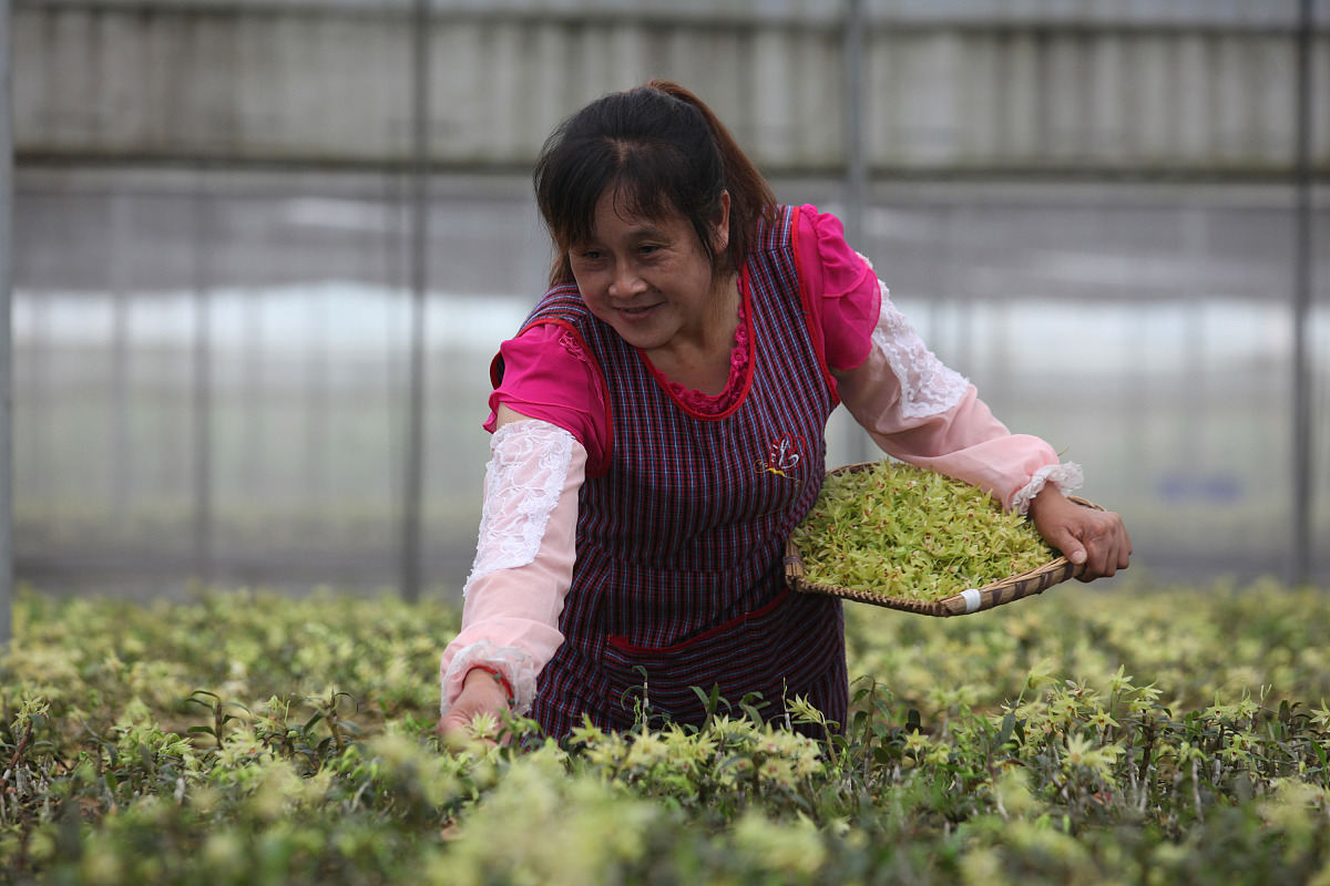 四川省贸易学校设施农业生产技术专业就业方向有哪些