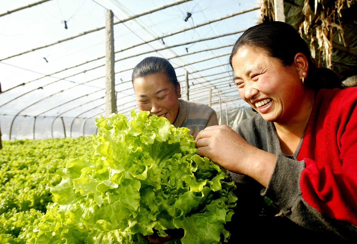 农学概论课程改革方案：培养未来农业领军人才