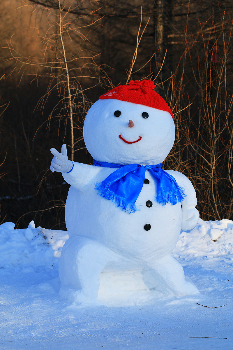 大兴安岭职业学院动漫制作技术专业专业课程设置有哪些