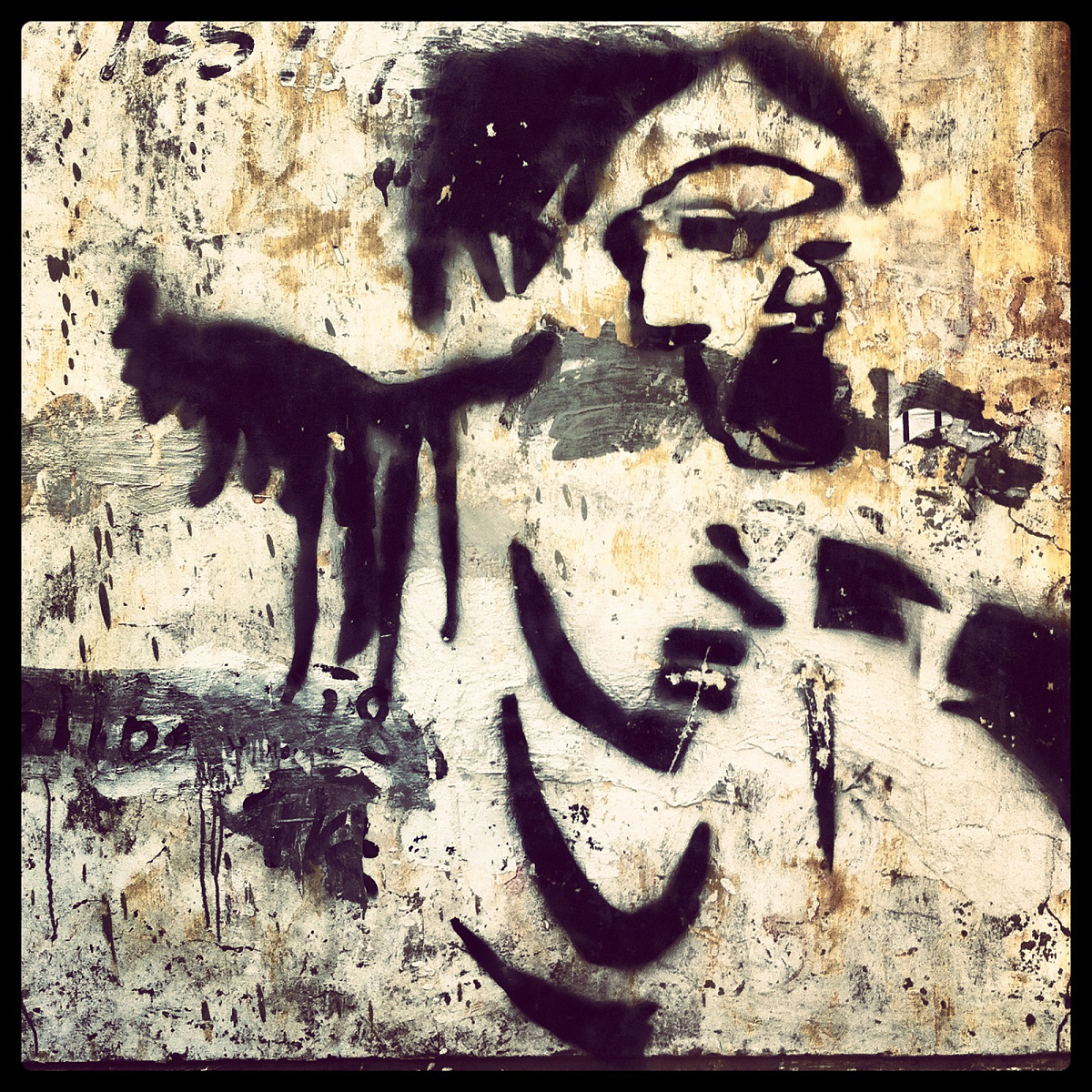 写2条关于摄影的文章标题