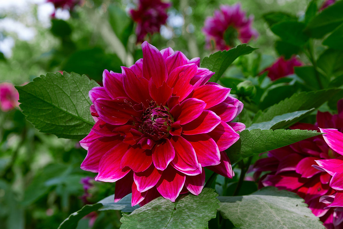 楚雄中专学校热门专业：电子商务、会计、旅游管理等