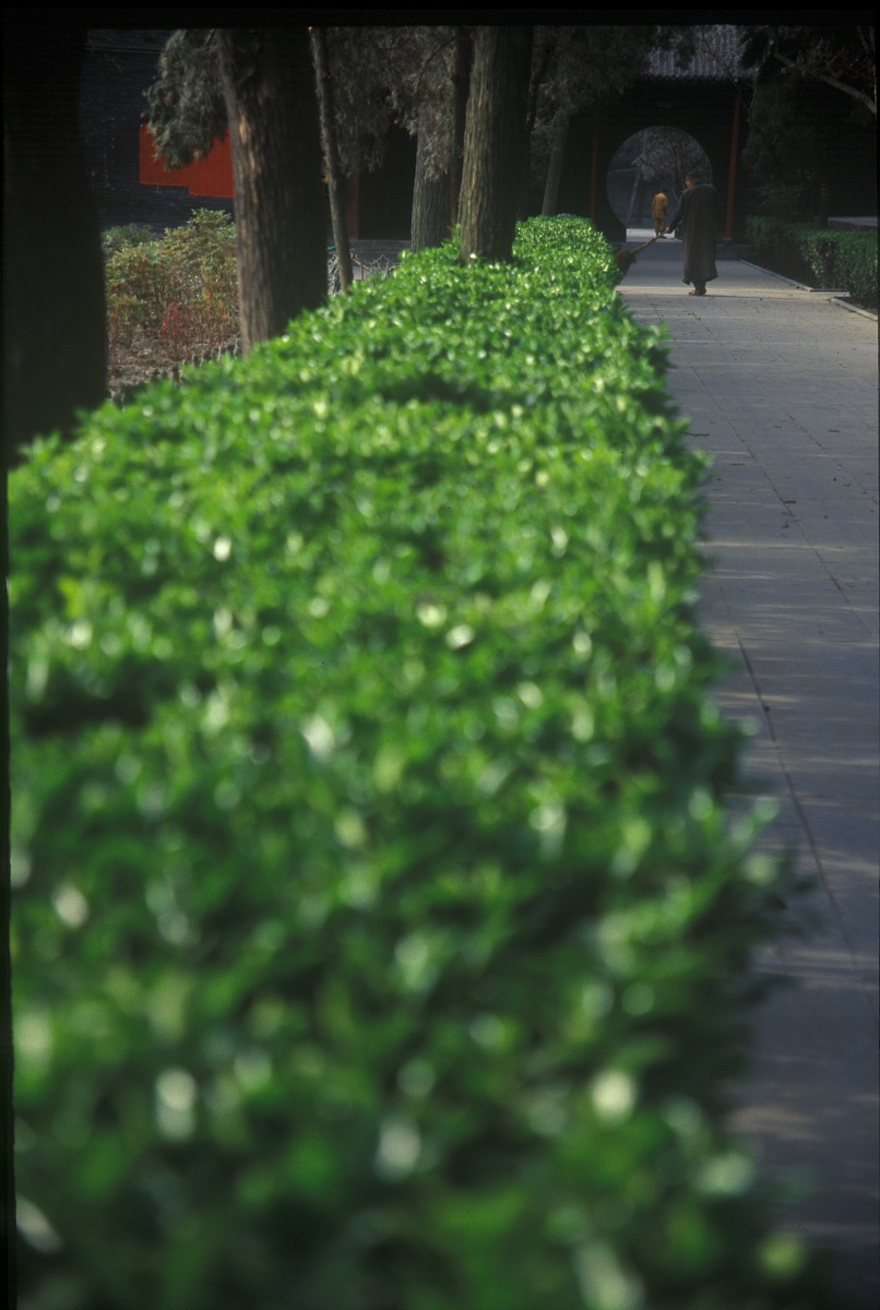 2006年5月16日,洛阳,白马寺院内打扫寺庙的僧侣.+++_+++洛阳,白马寺,