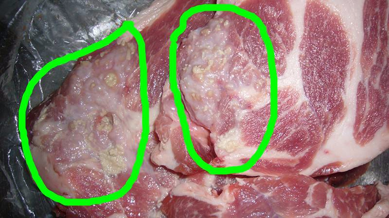 这3种猪肉再便宜也别买,含有寄生虫,高温都杀不死!