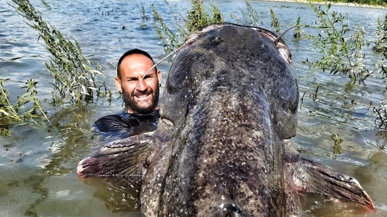 大叔用尽全力,终于钓上一条庞然大物,个头是人的两倍大