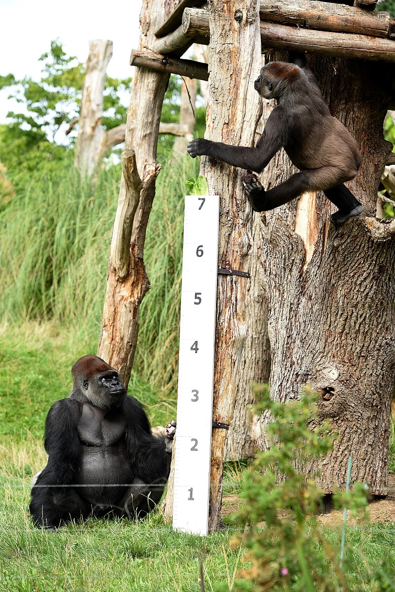 云南经济管理学院2020年新增专业：工商管理、信息管理与信息系统等