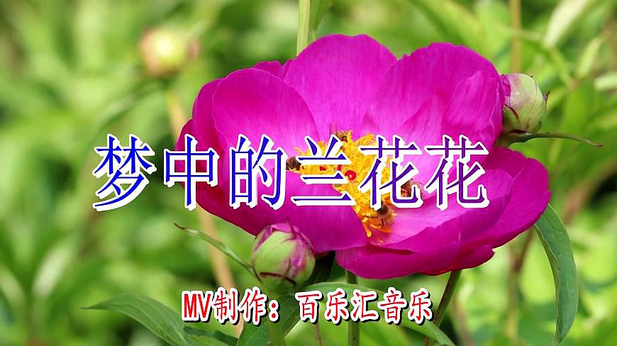 [图]陕北民歌，刘建东《梦中的兰花花》声音醉人，唱的太好听了