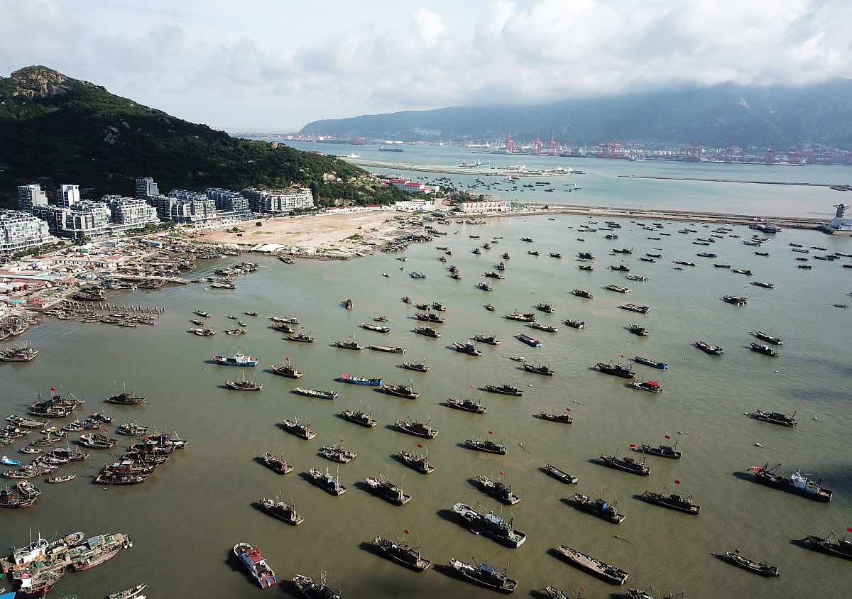 2019年8月9日,江苏连云港,连云区西连岛村渔业码头,众多渔船靠泊港湾