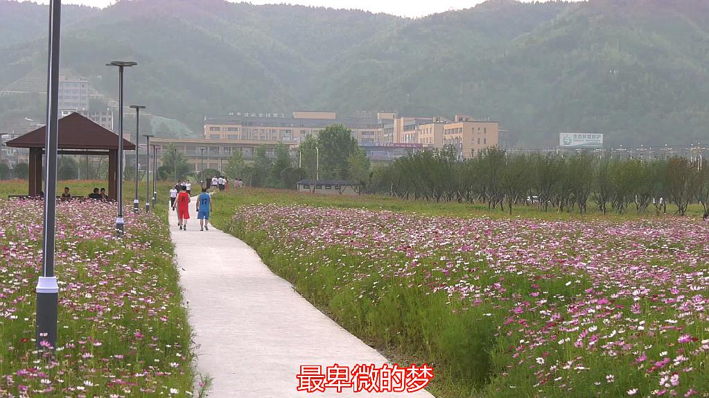 [图]《让我留在你身边》电影《摆渡人》主题曲,陈奕迅经典演唱