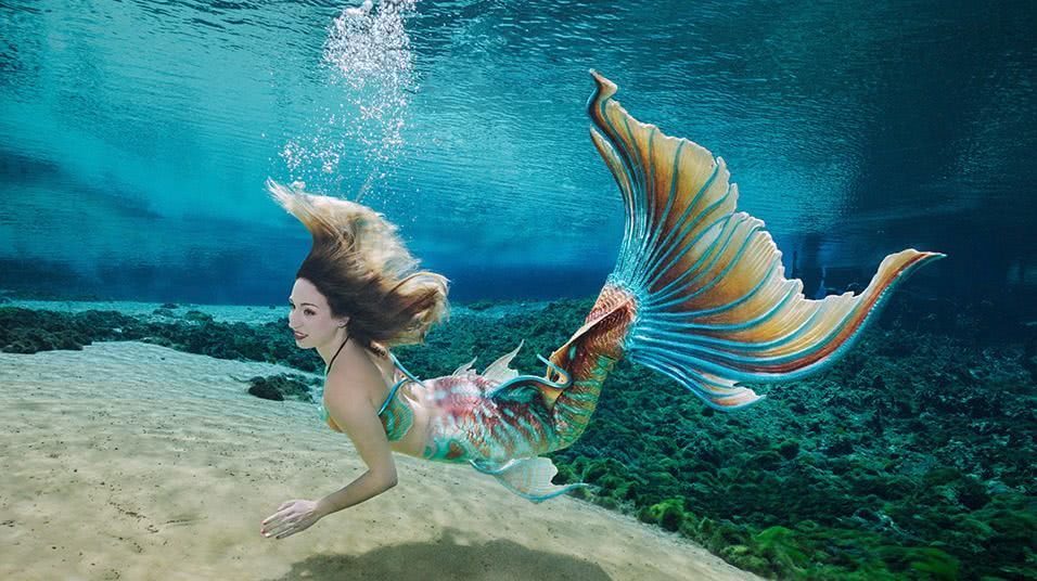 美国这一家水族馆,养了一条“美人鱼”,吸引众多游客来欣赏!