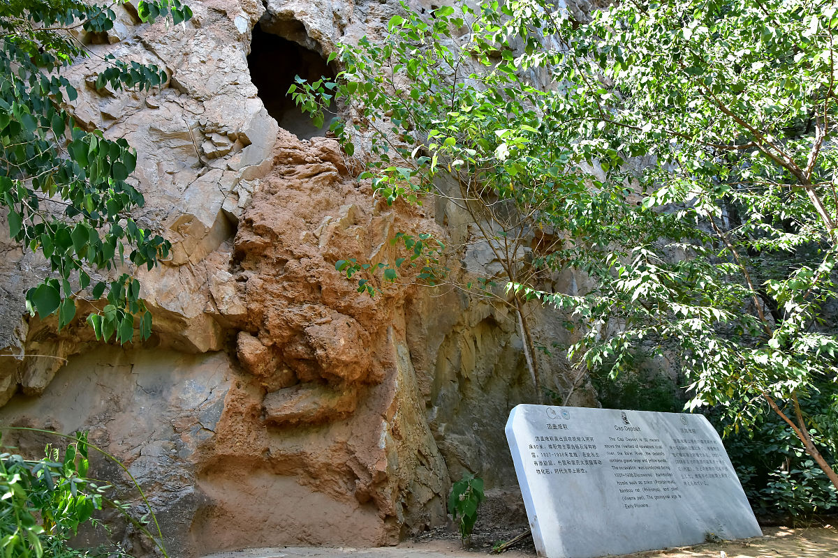 降低成本粘性：学术与实践的协同探索