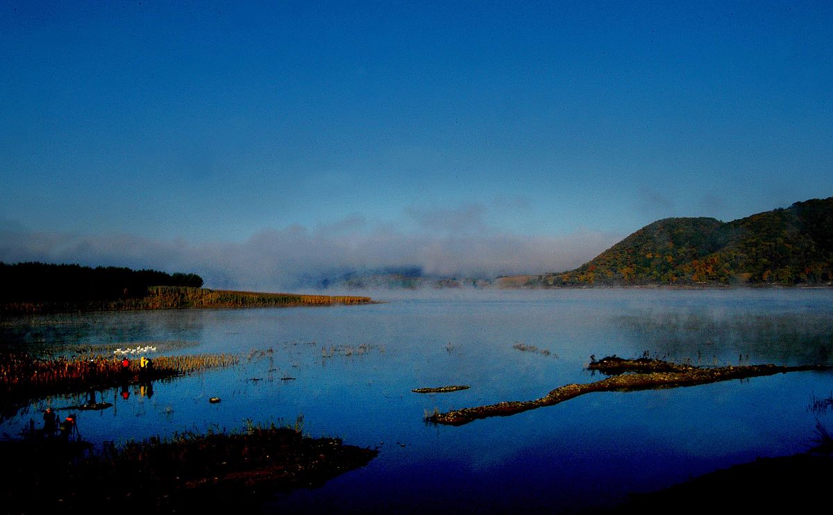 广西生态工程职业技术学院单招2023年单独招生有哪些专业