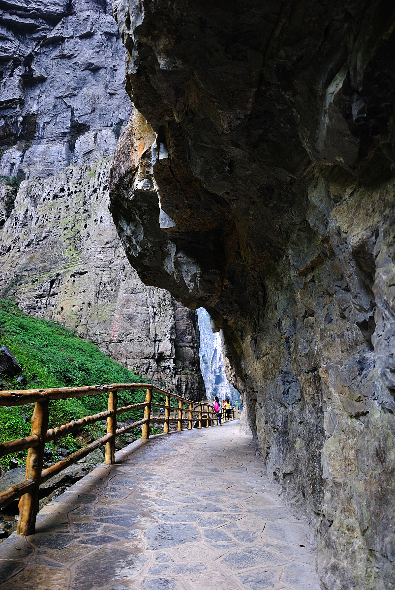 重庆旅游职业学院单招航空服务专业：就业前景广阔，未来可期