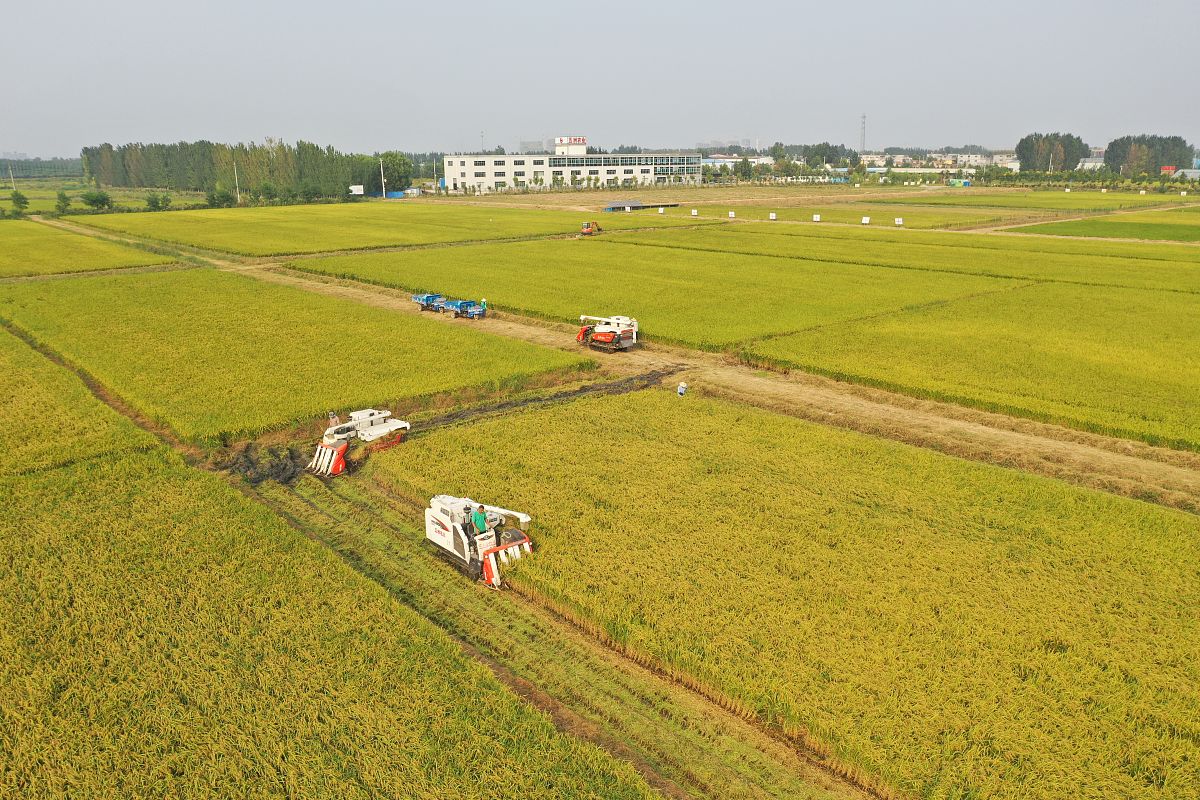 河南省电子科技学校农业机械化专业怎么样？就业前景分析