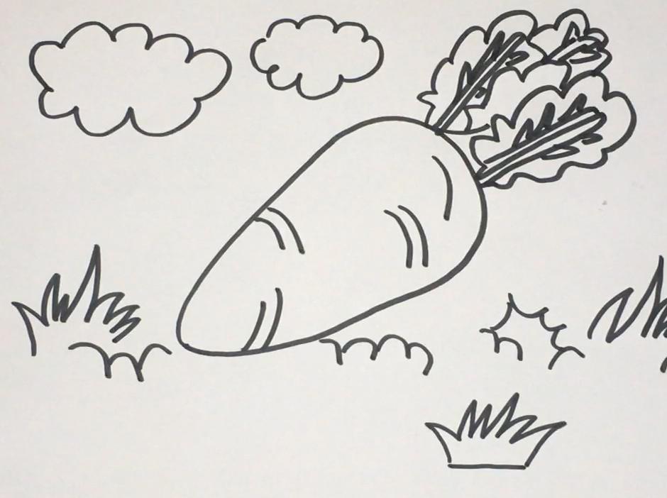 简笔画胡萝卜 简单好学