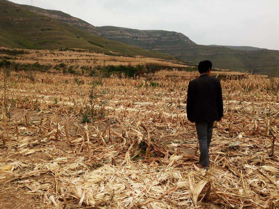 光靠种地,能人均月收入14600元吗?