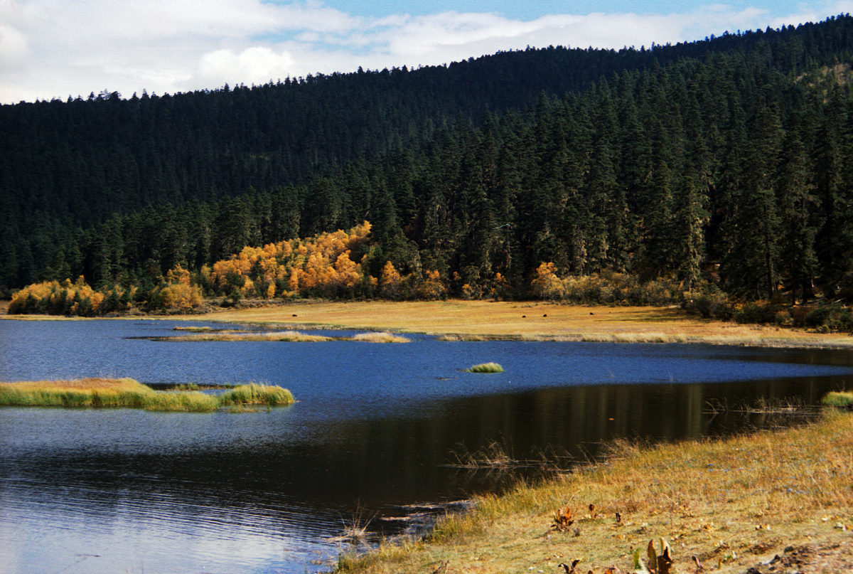 云南工程技术学校2022年招生简章：专业、计划、考试、录取