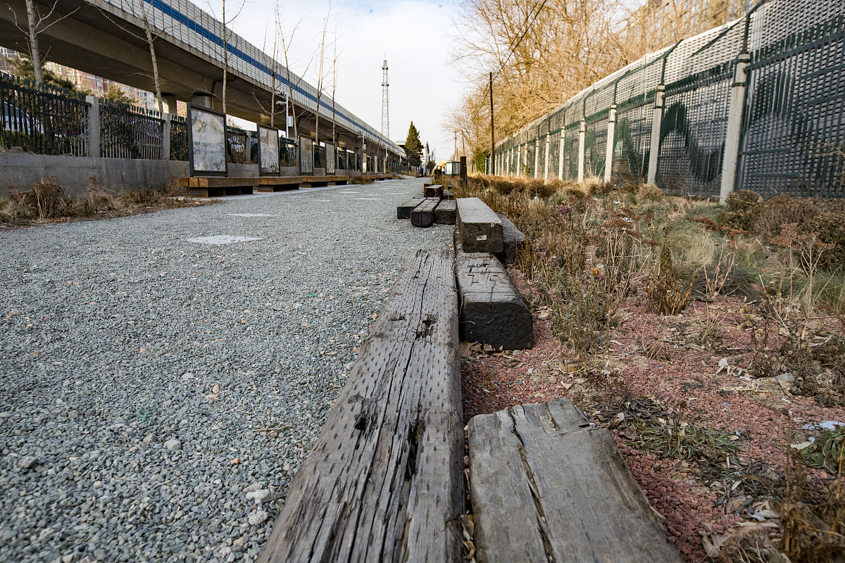 北京道路的活化石是