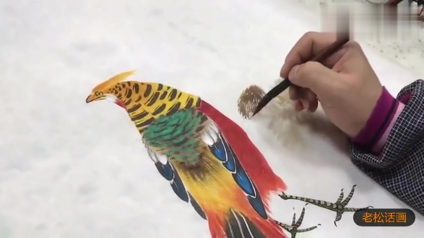 国画小写意红腹锦鸡画法演示