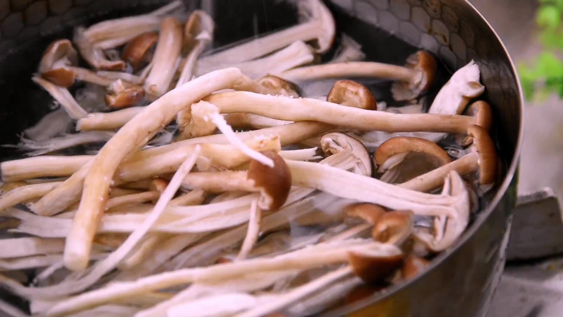 茶树菇炒肉,绝对的家常美味
