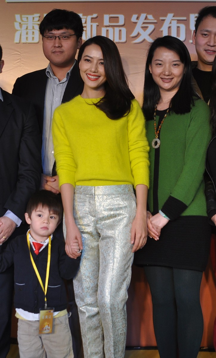 详细介绍一下高圆圆