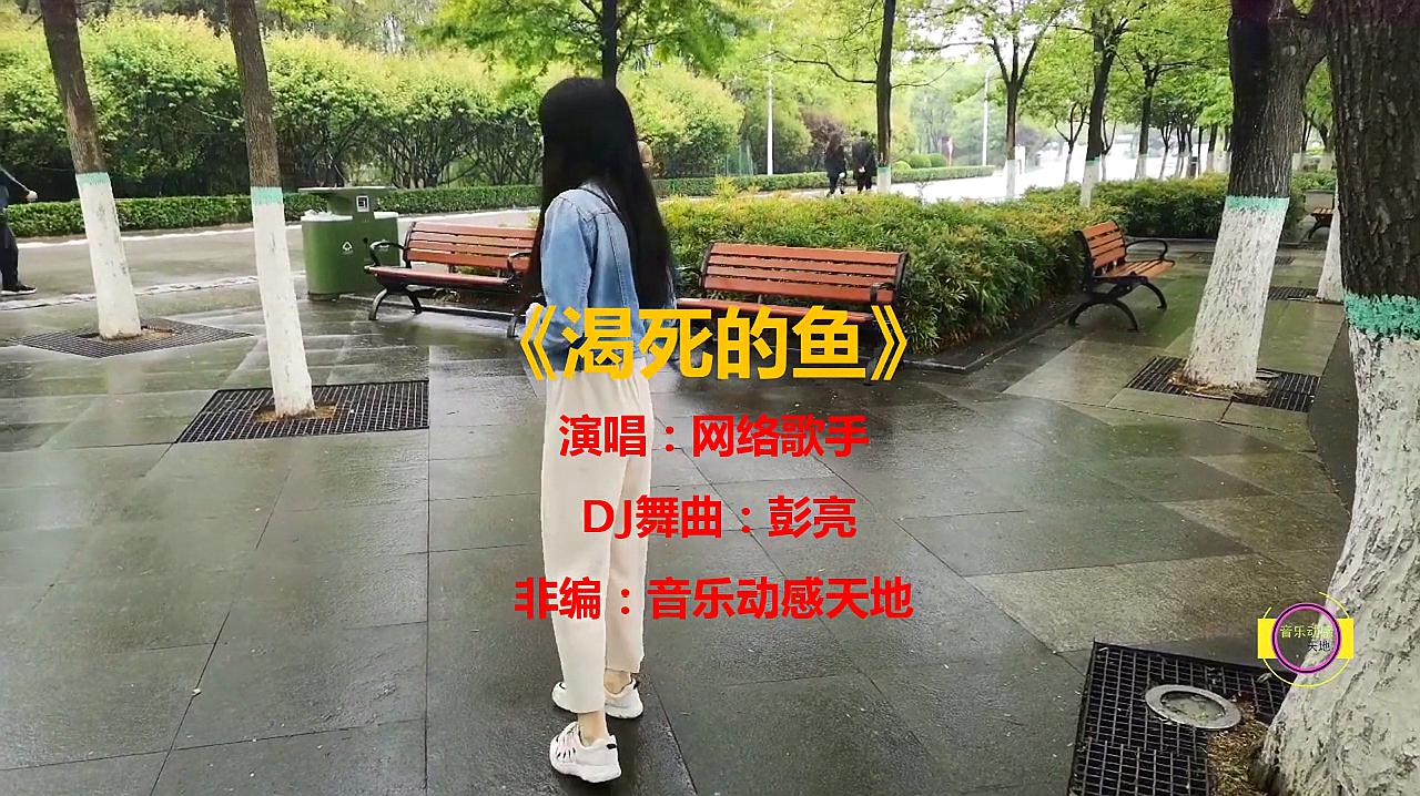 [图]《渴死的鱼》DJ版,我爱的人,我不能没有你,只想永远和你在一起