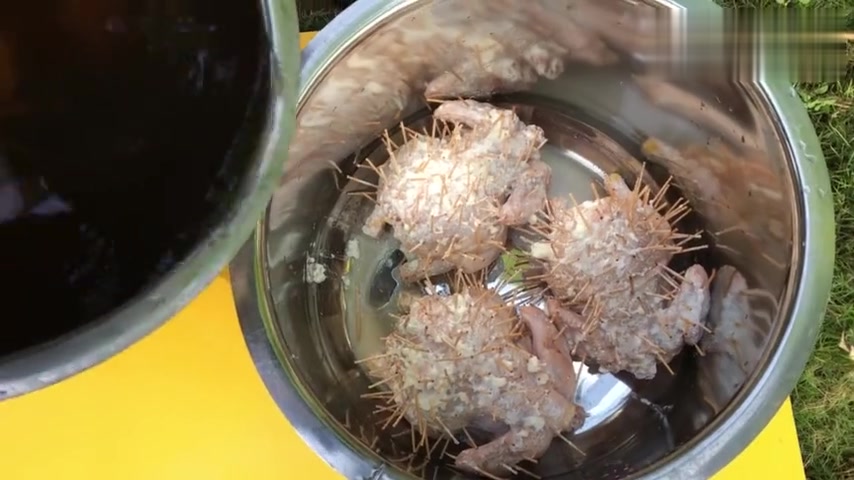 露营大餐 脆皮炸全鸡
