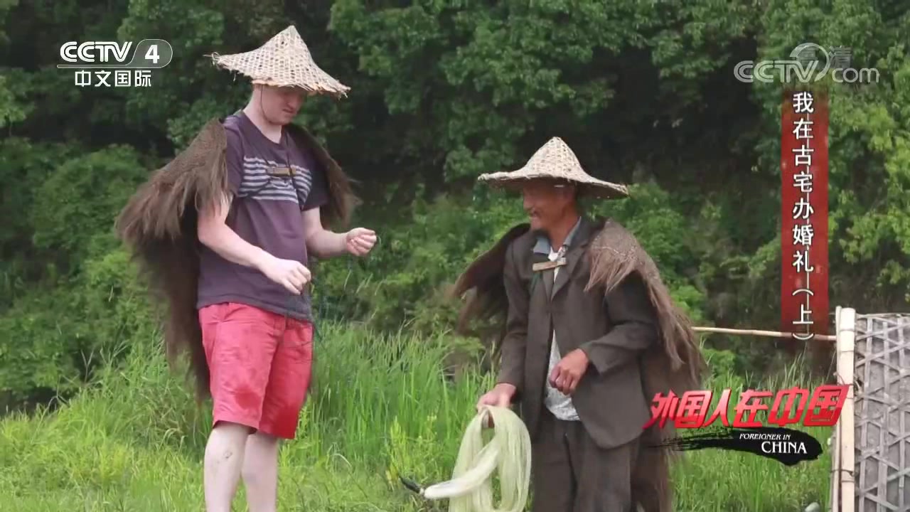 “荷包红鲤鱼”的寓意,洋女婿费尽心思,最终一事无成,生手!